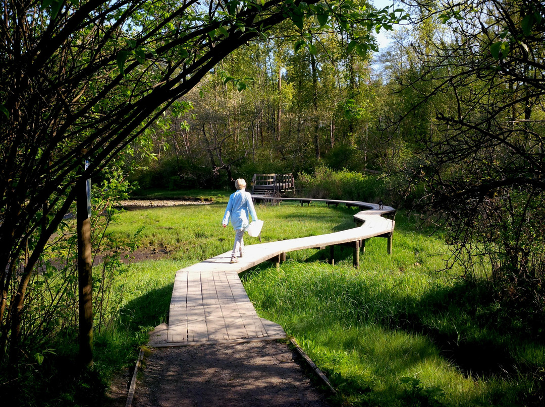 Shoreline Park景点图片