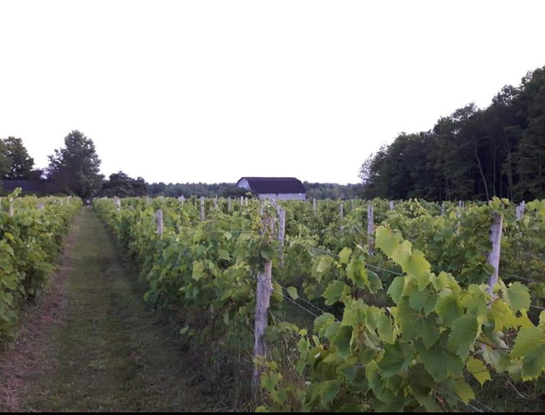 Vignoble Bromont - Auberge & Boutique
