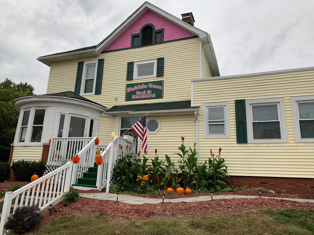 Bubble Gun B&B主图