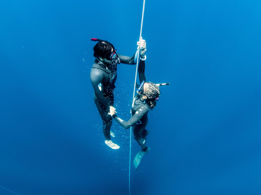 MT Solomons Freediving-拉巴斯必去景点