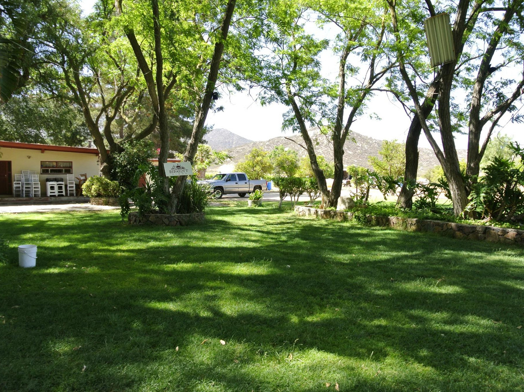 Bibayoff Vinos景点图片