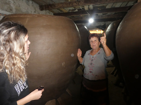 Private Tour Georgia-第比利斯必去景点