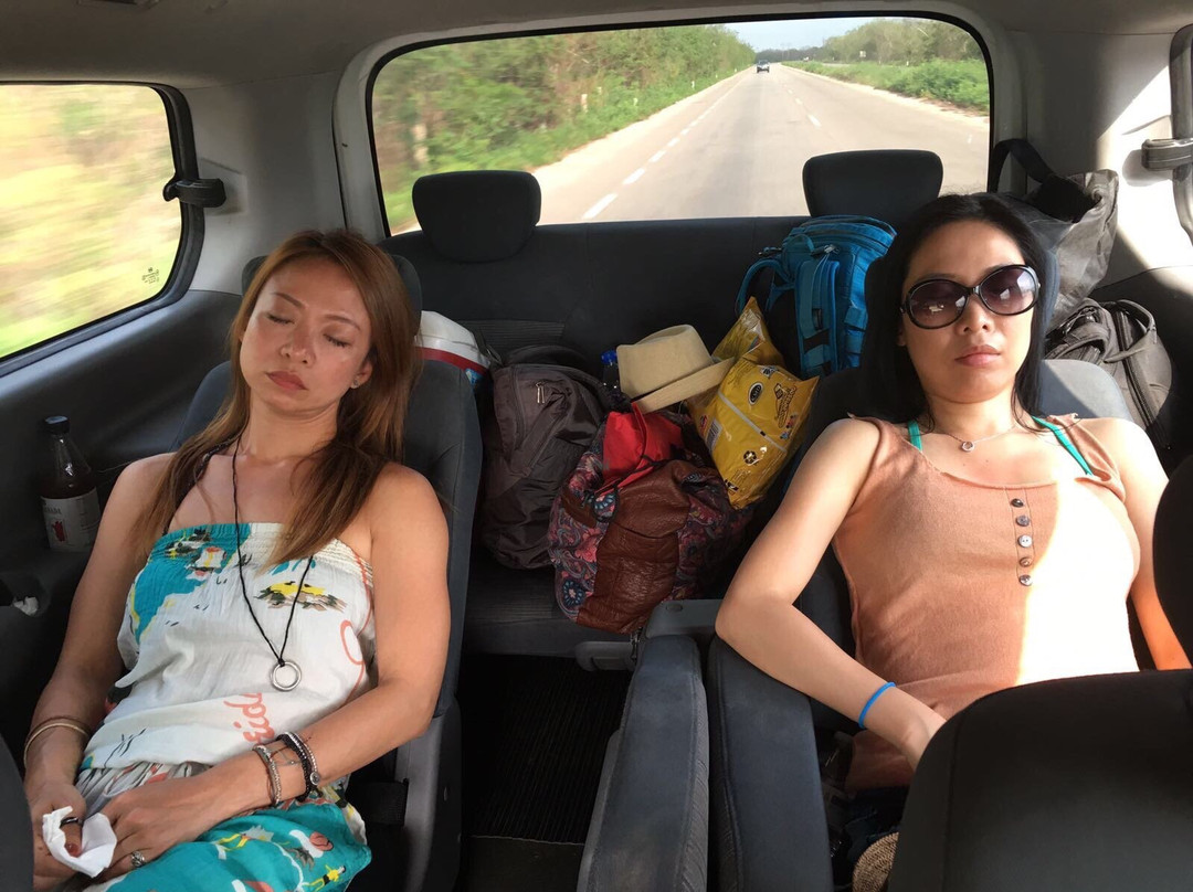 Meri Tour & Travel - Day Tours