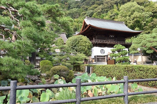Rinzaiji Temple-静冈市必去景点