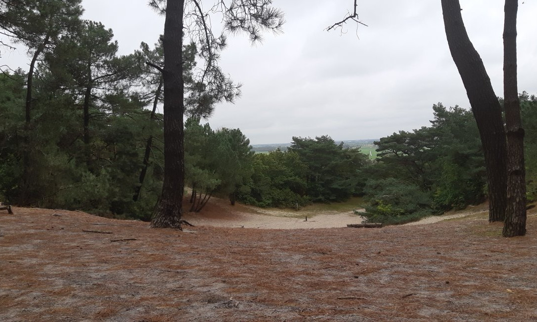 Buitencentrum Schoorlse Duinen Schoorl景点图片
