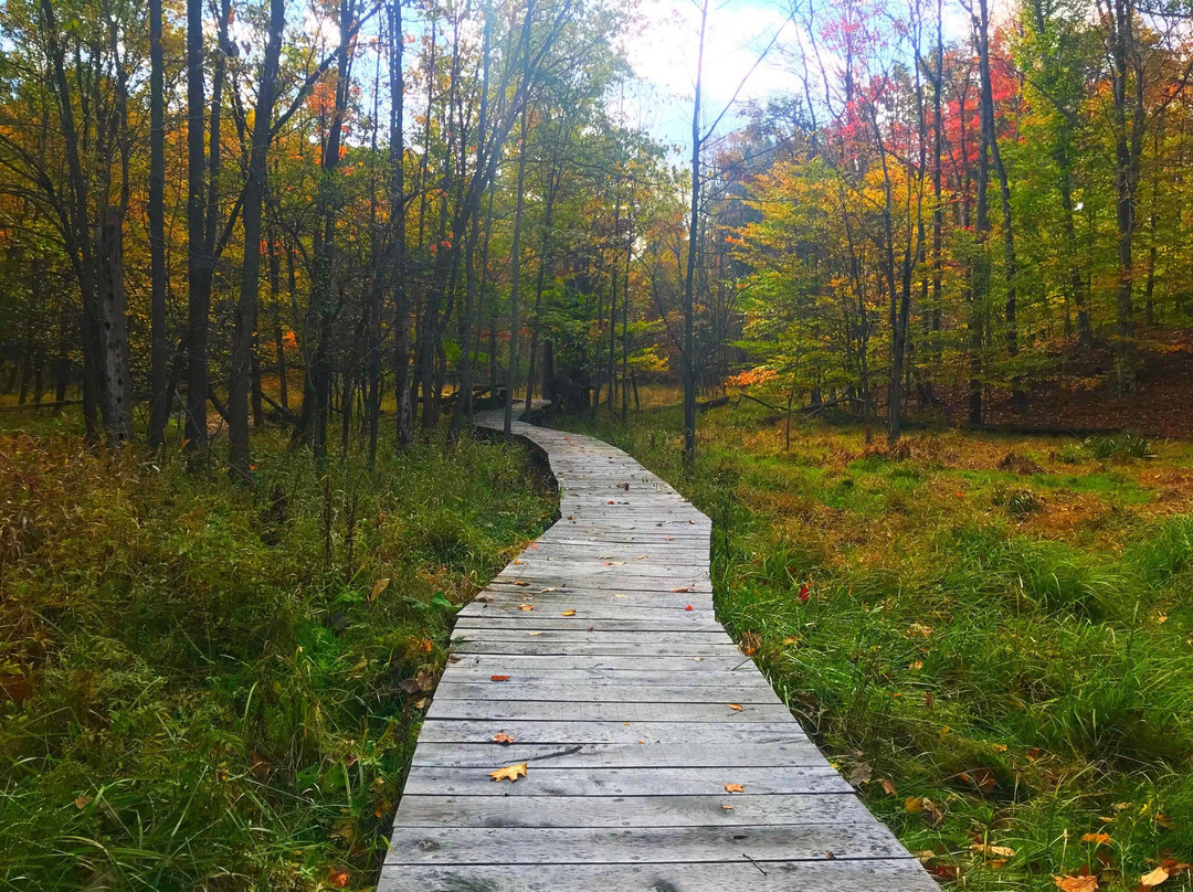 Oakwood Village旅游景点-Bedford Reservation