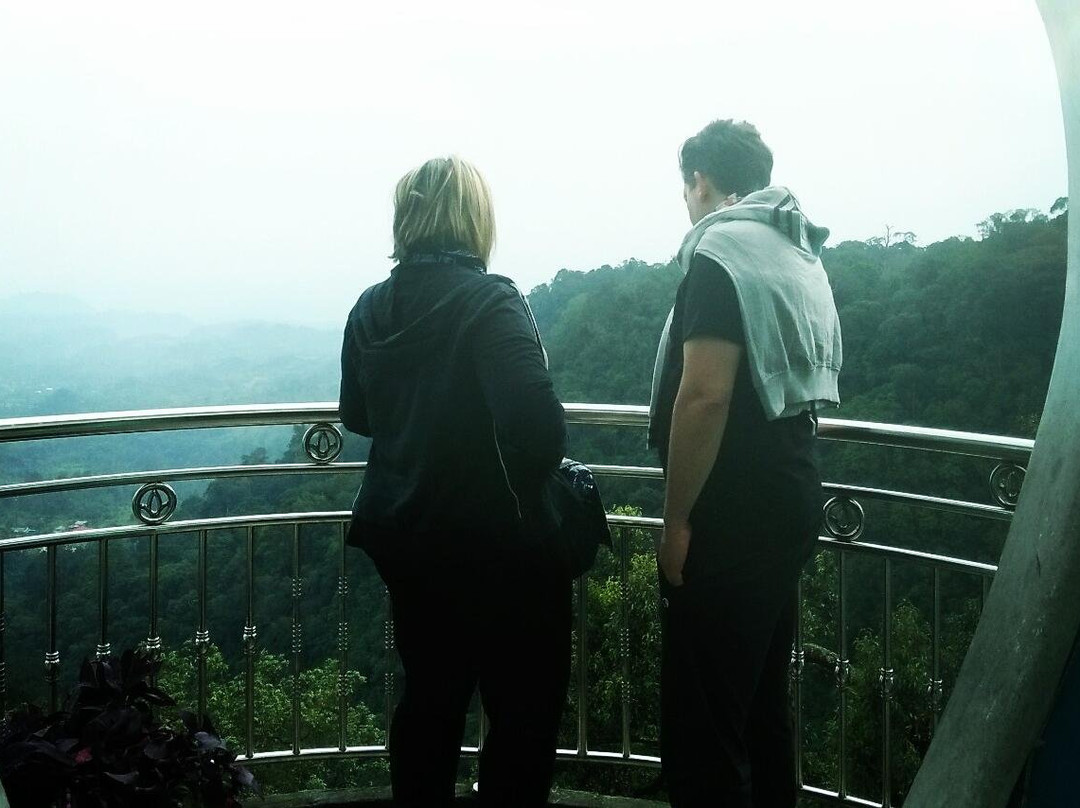 Saroha global tour-棉兰必去景点