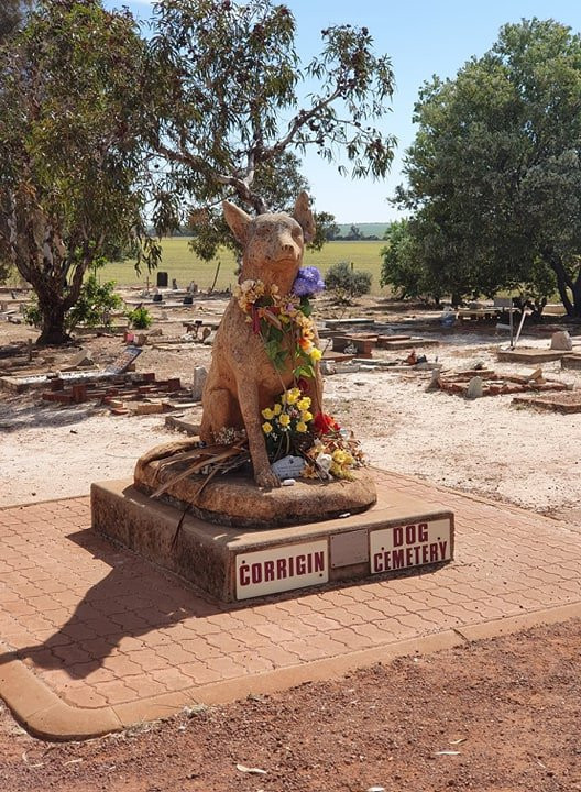 Corrigin Dog Cemetery景点图片