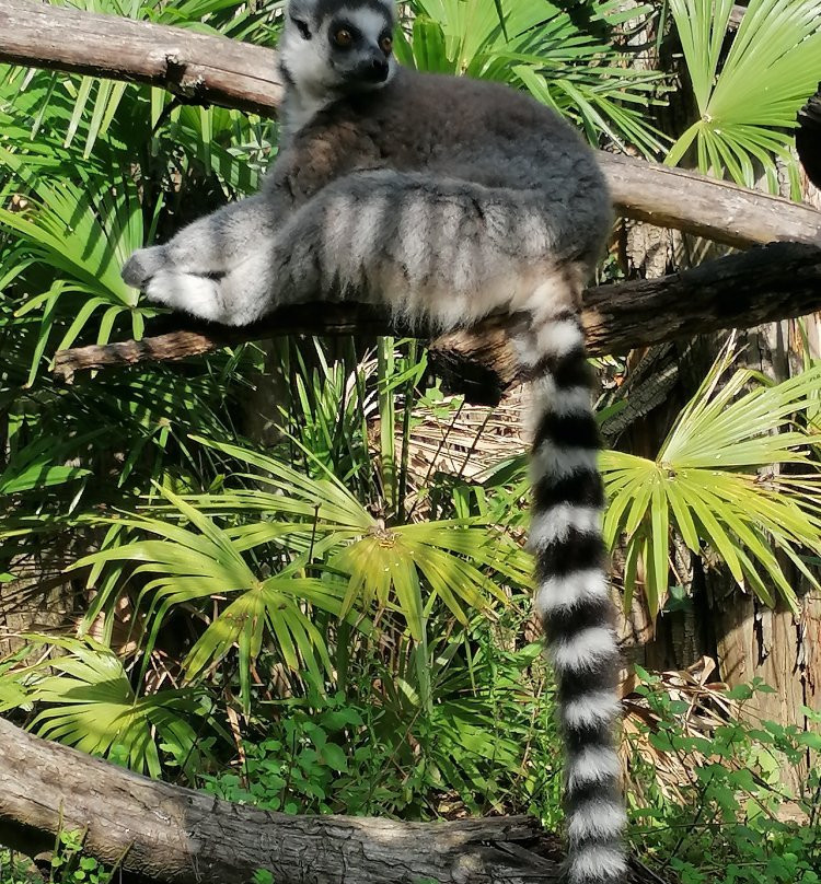 Giardino Zoologico Di Pistoia景点图片