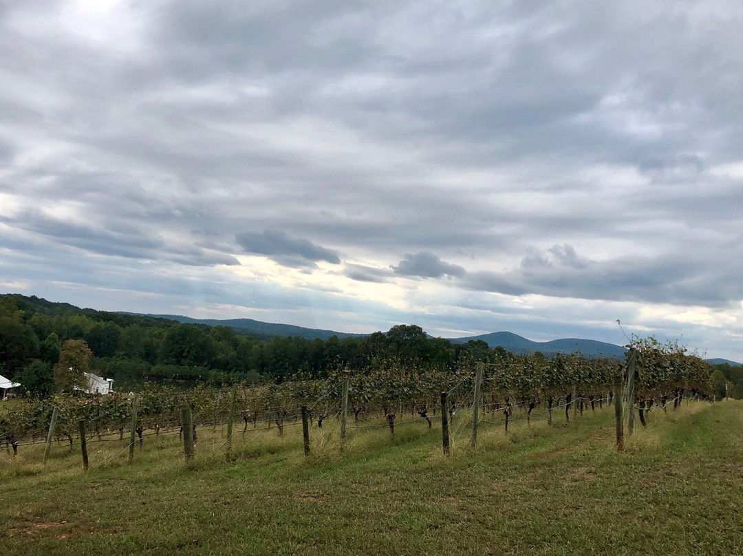 Three Sisters Vineyards & Winery-达洛尼加必去景点