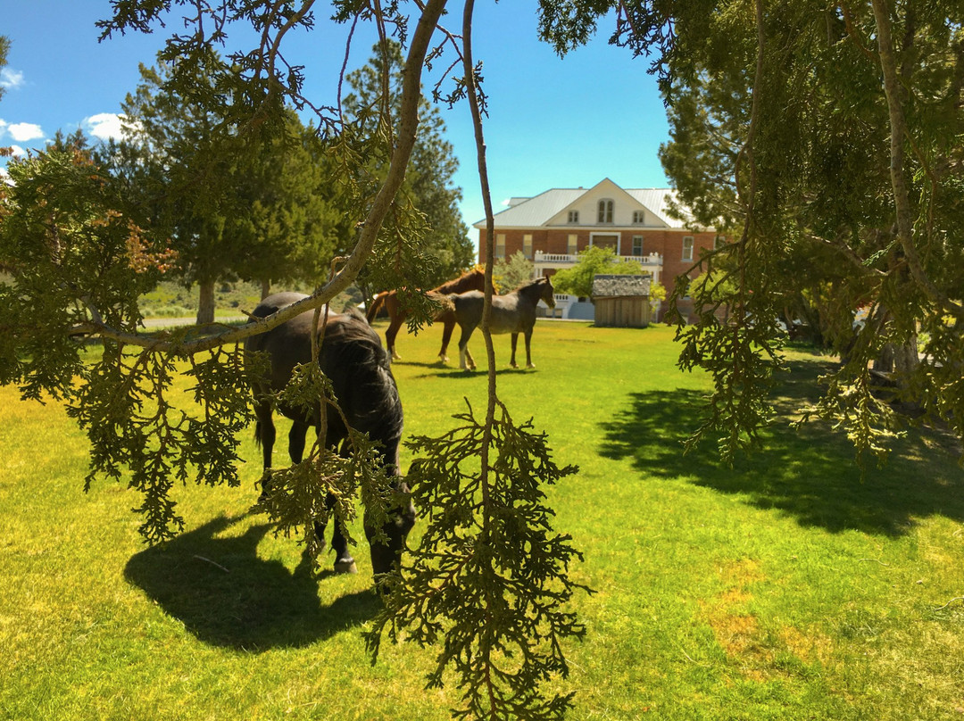 St Mary's Art Center