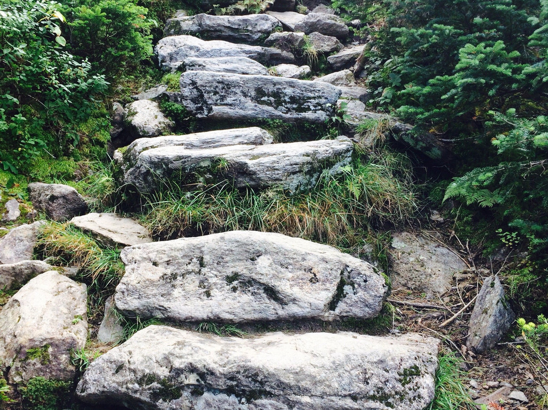 Ammonoosuc Ravine Trail景点图片