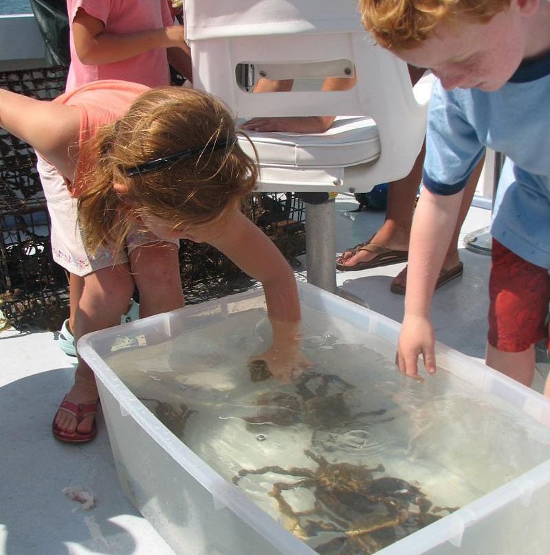 Monomoy Charters-楠塔基特必去景点