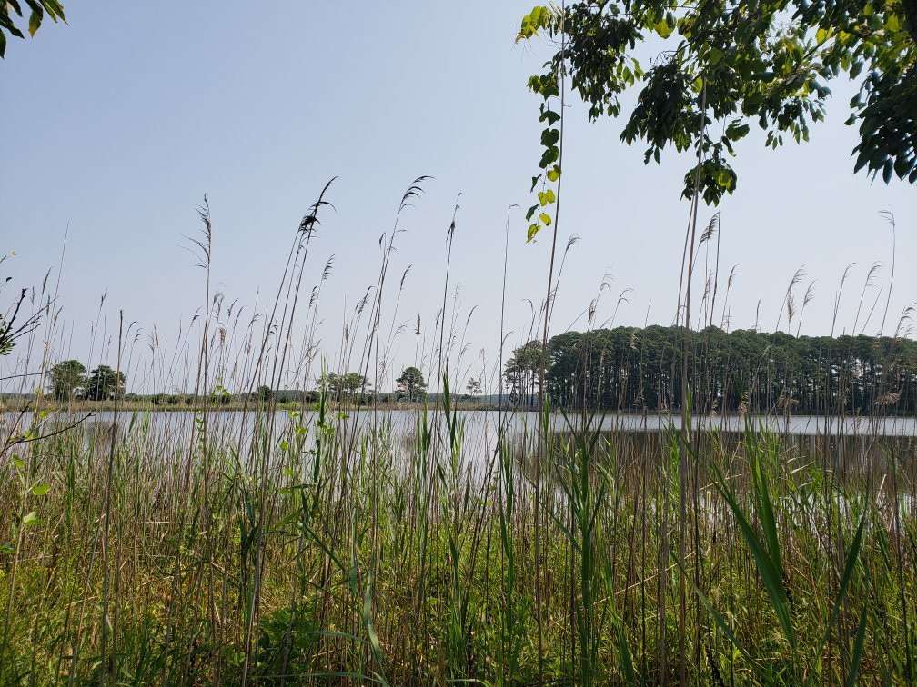 Chesapeake Bay Environmental Center景点图片
