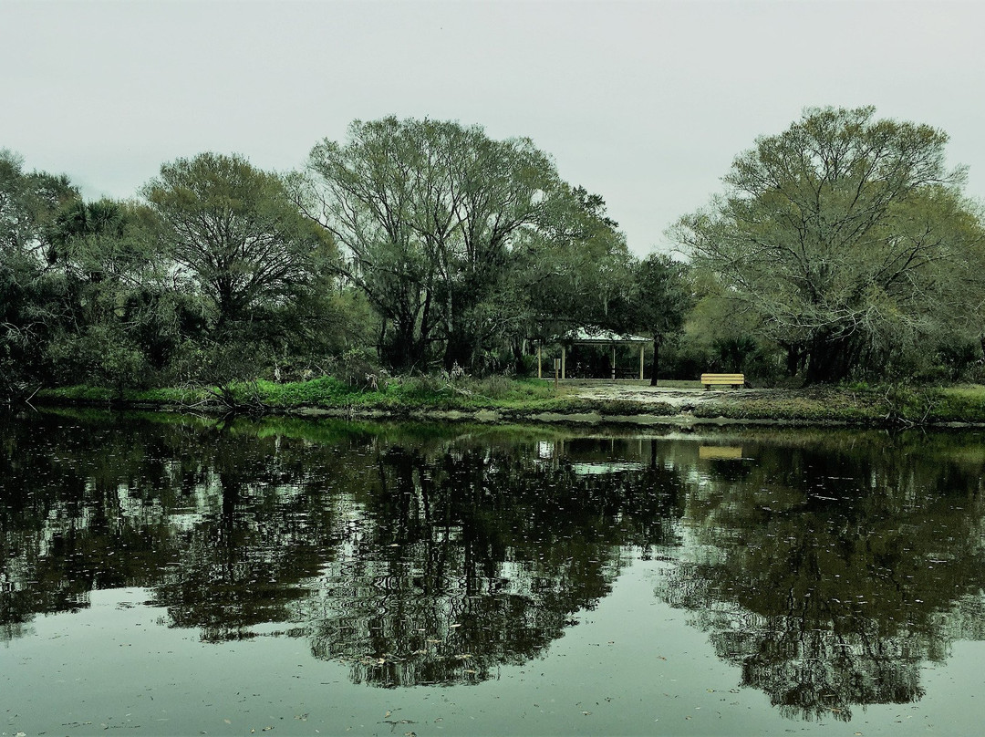 Venice Myakka River Park景点图片