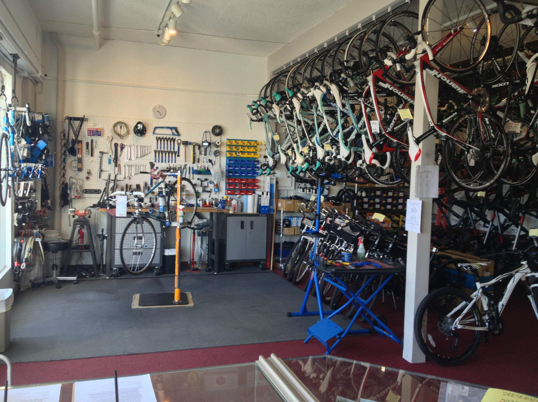 The Sausalito Bicycle Company景点图片