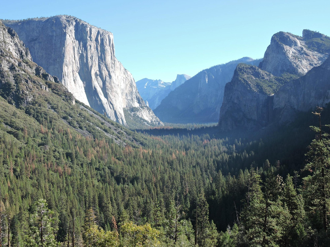 埃尔波特尔旅游景点-John Muir presentation by Lee Stetson