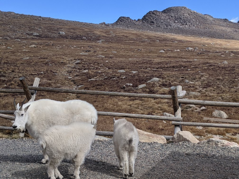 Summit Lake Park-Idaho Springs必去景点