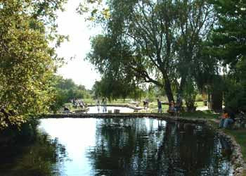 Cold Springs Trout Farm景点图片