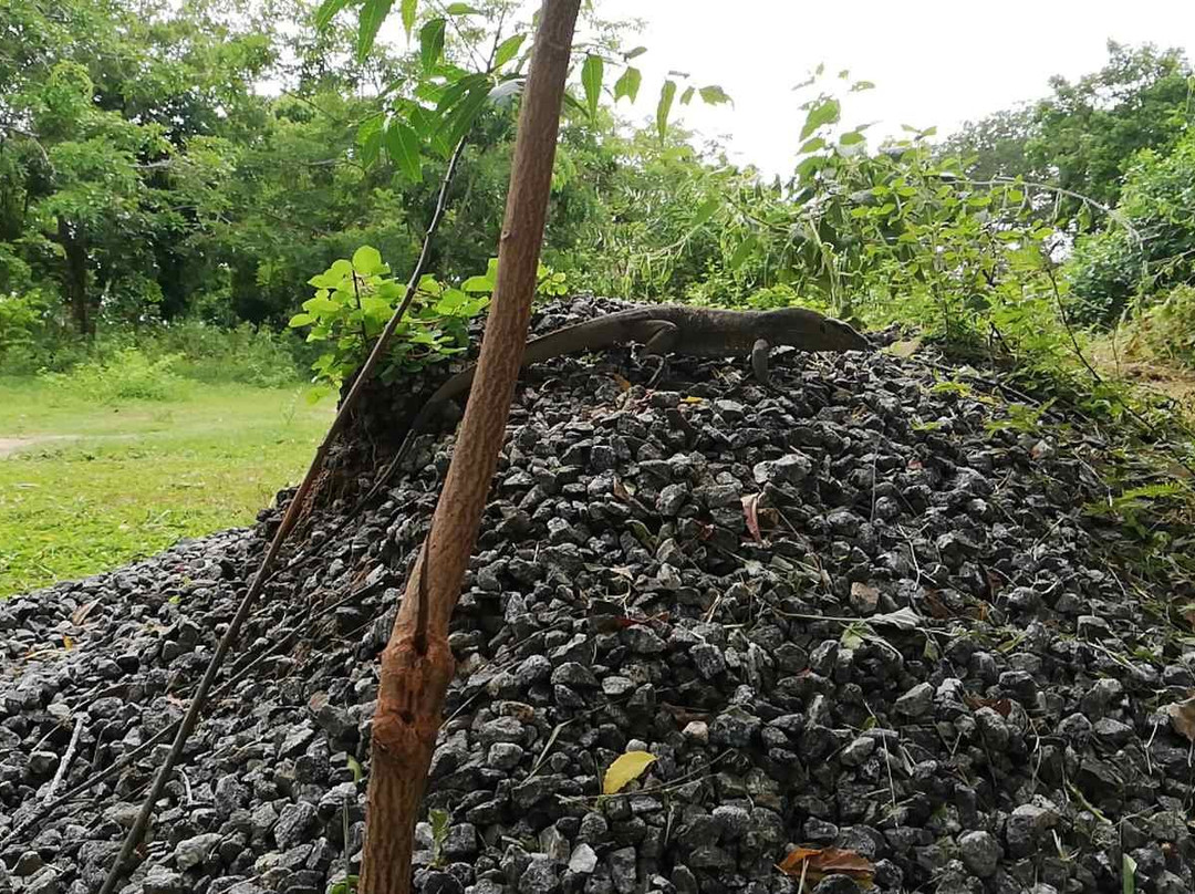 Turtles View Resort主图