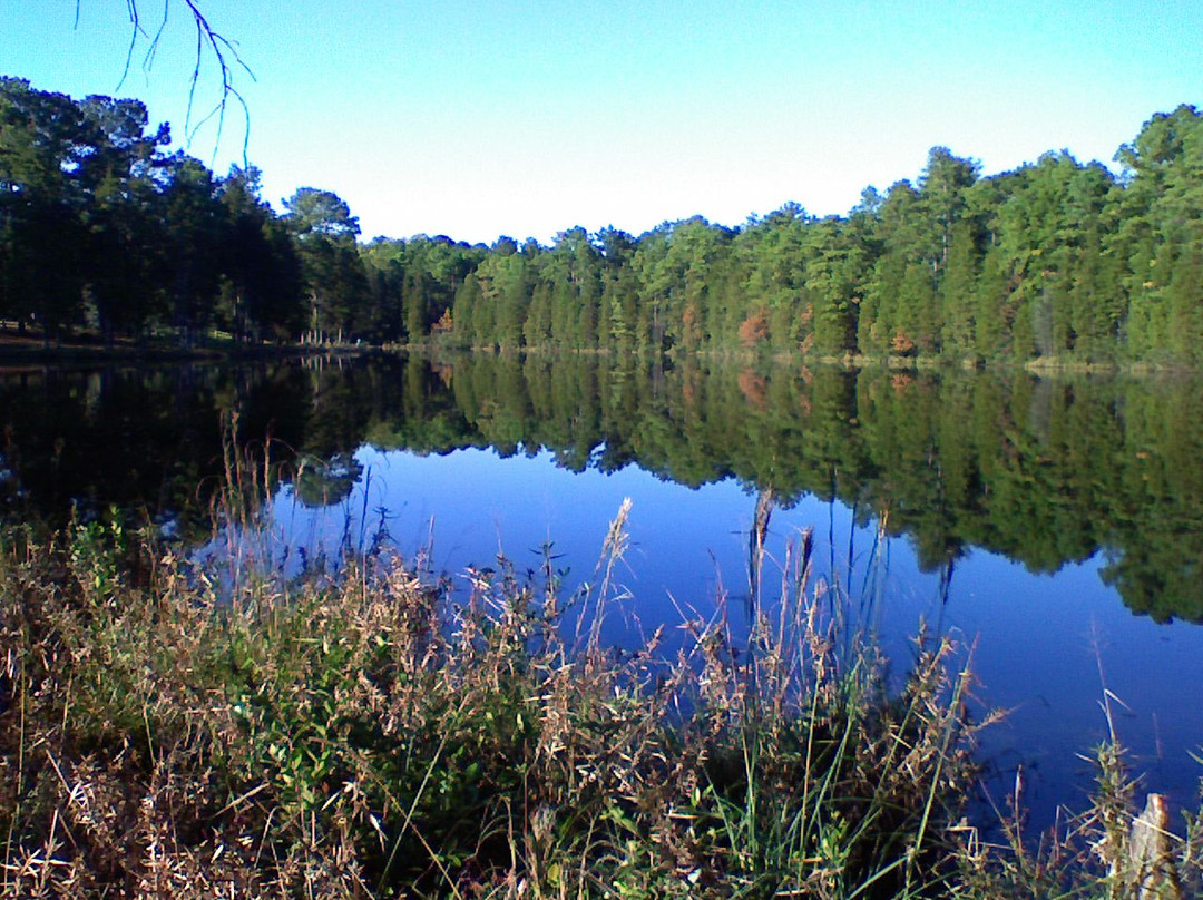 Cheraw State Park Golf Course景点图片