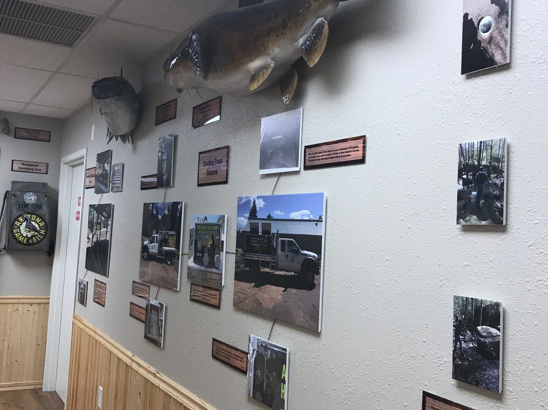 Tonto Creek Fish Hatchery-Payson必去景点