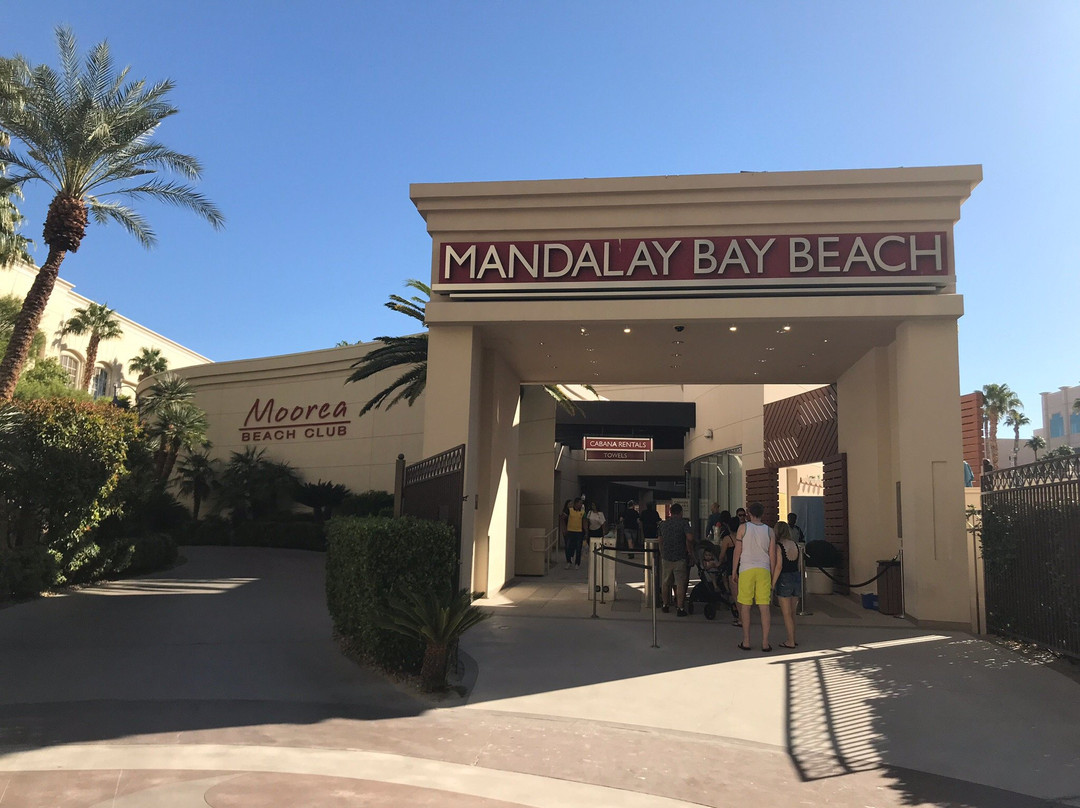 Moorea Beach Club-拉斯维加斯必去景点