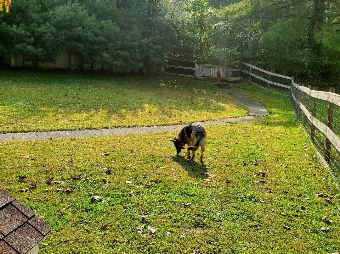 3B's Inn Bed Breakfast & Biscuits主图