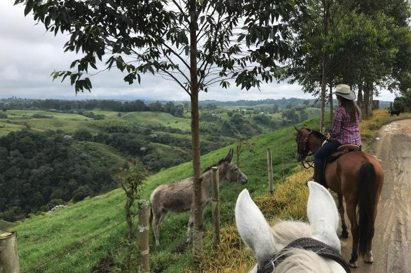 Steel Horse Colombia景点图片