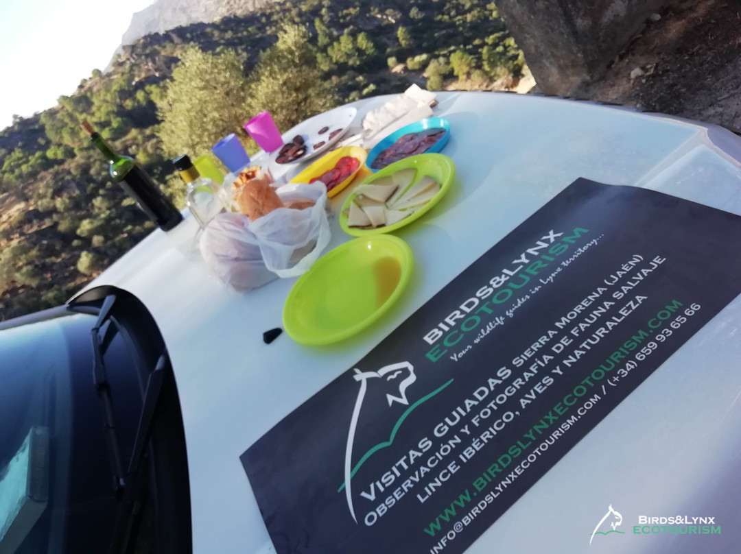 Parque Natural Sierra de Andujar景点图片