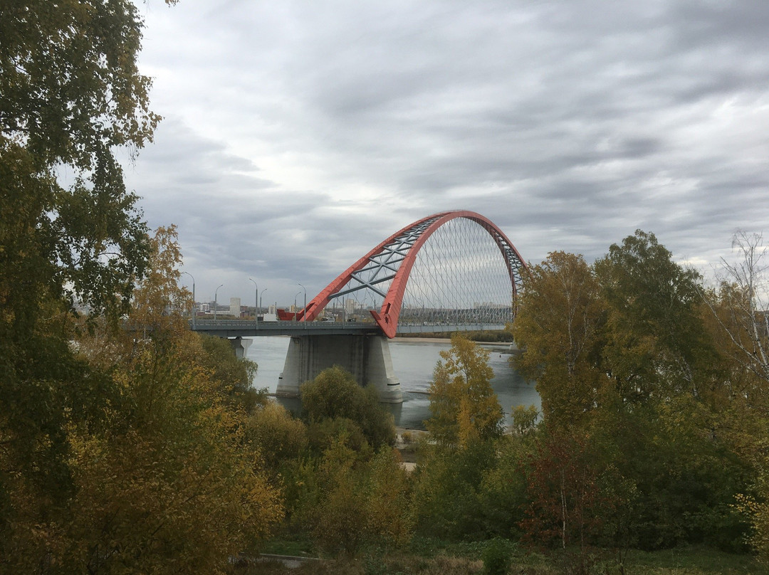 Bugrinsky Bridge景点图片