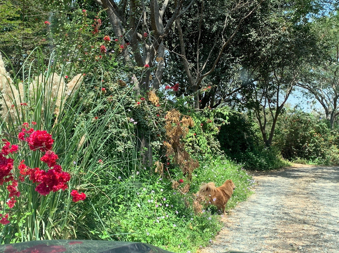 Salas旅游攻略图片