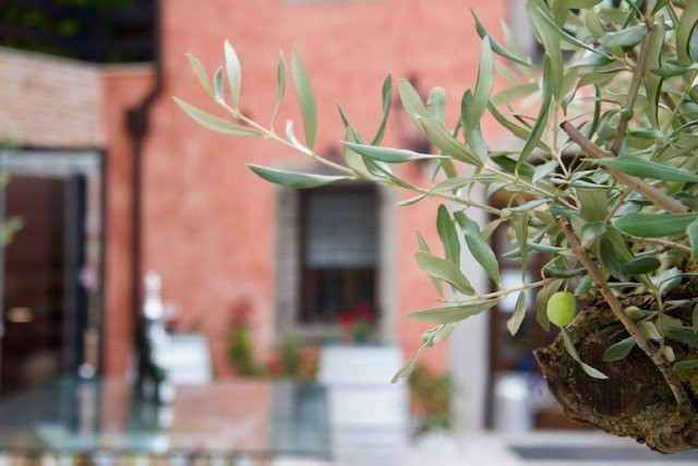 Agritur Mas dei Chini主图
