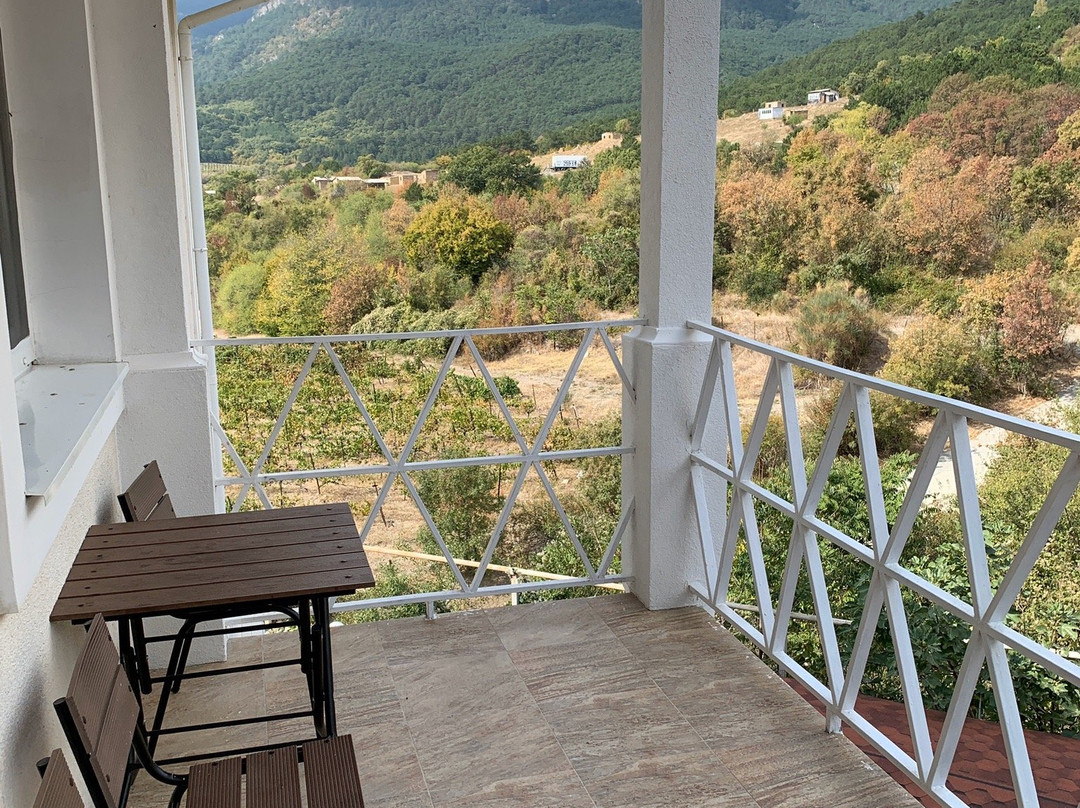 Villa Svetlana主图