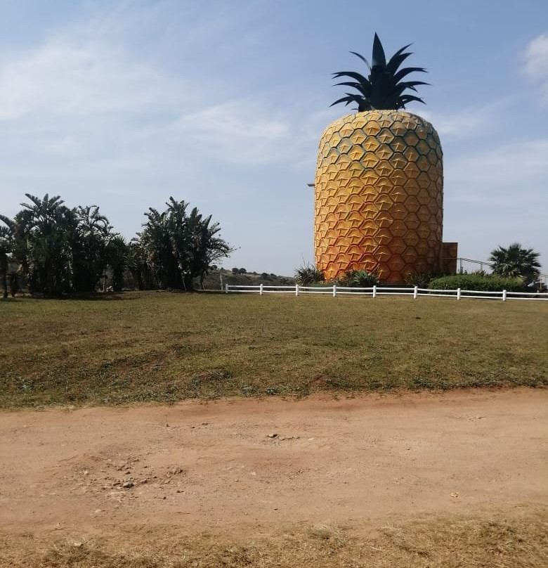 The Big Pineapple景点图片