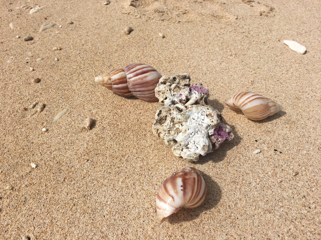 Tibarama Island-Poindimie必去景点