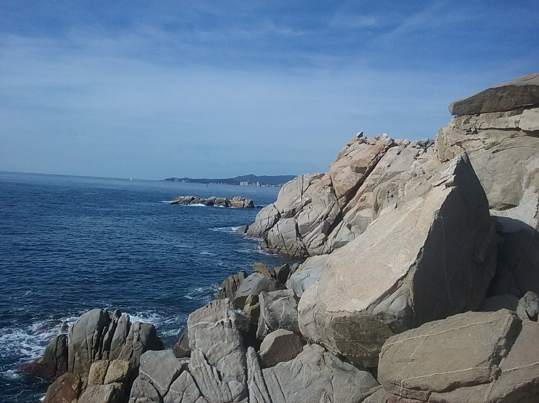 Espai del Peix-Palamos必去景点