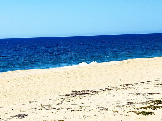 Danny Boy Cabo-卡波圣卢卡斯必去景点