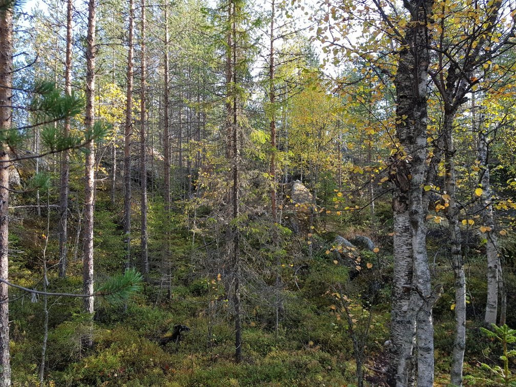 Hiidenkirnut-罗瓦涅米必去景点