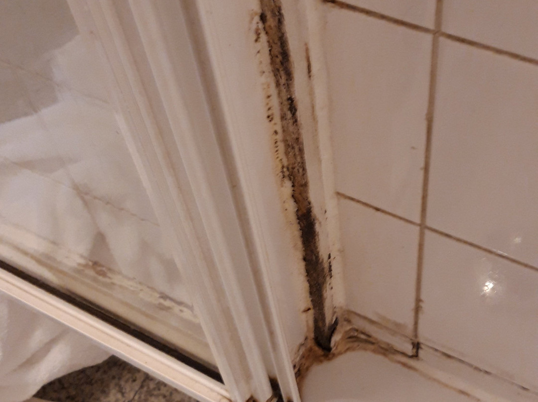 The Avenue Hotel主图