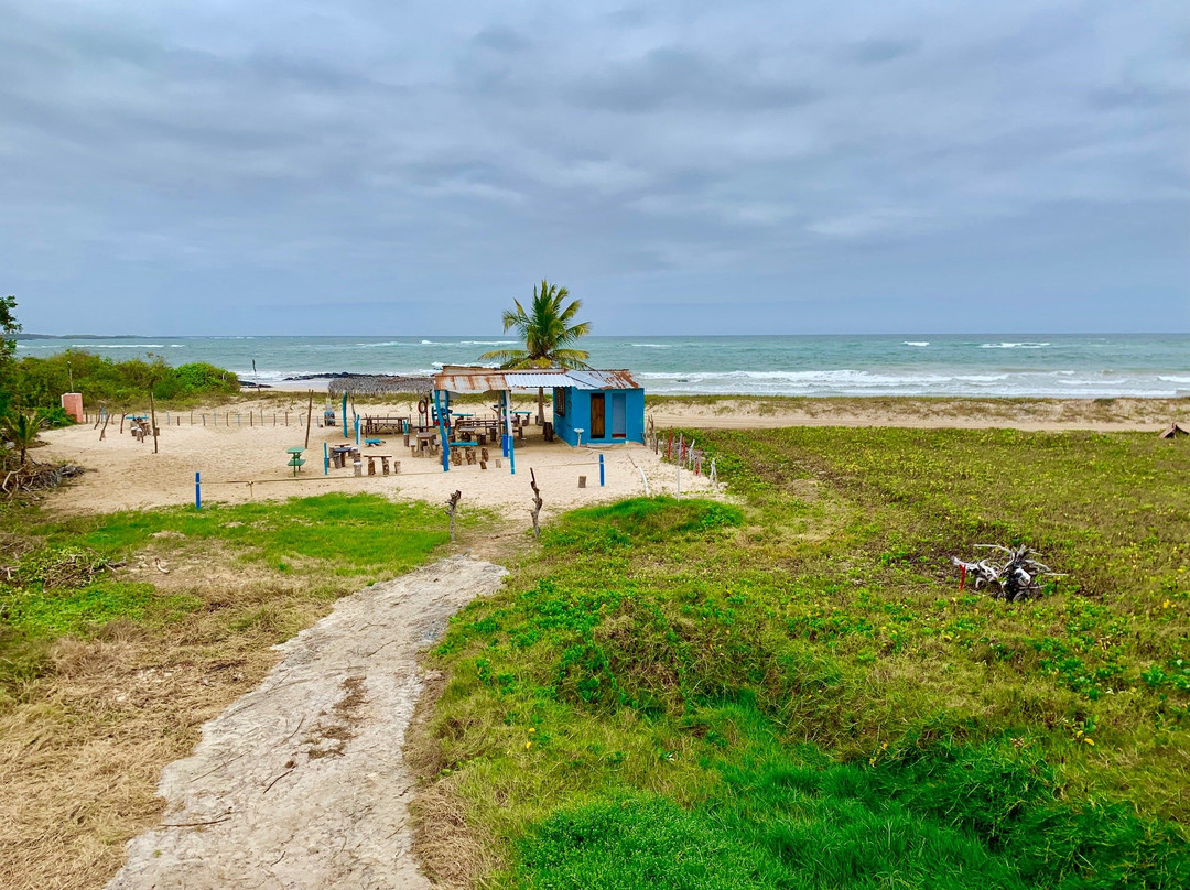 Hostal La Jungla主图