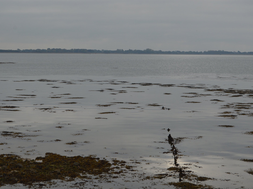 Langstone Harbour景点图片