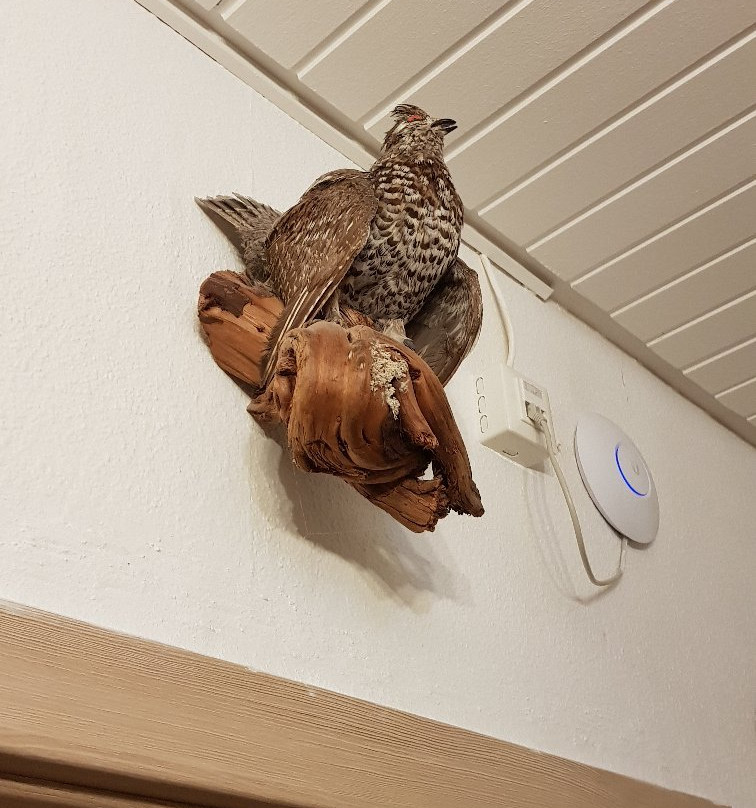Hotel Unterwirt主图