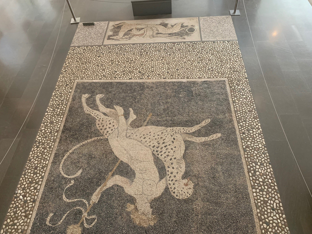 Archaeological Museum of Pella景点图片