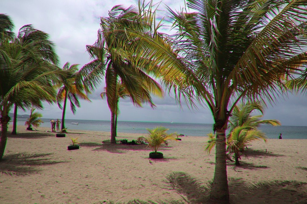 Plage de Madiana-Schoelcher必去景点