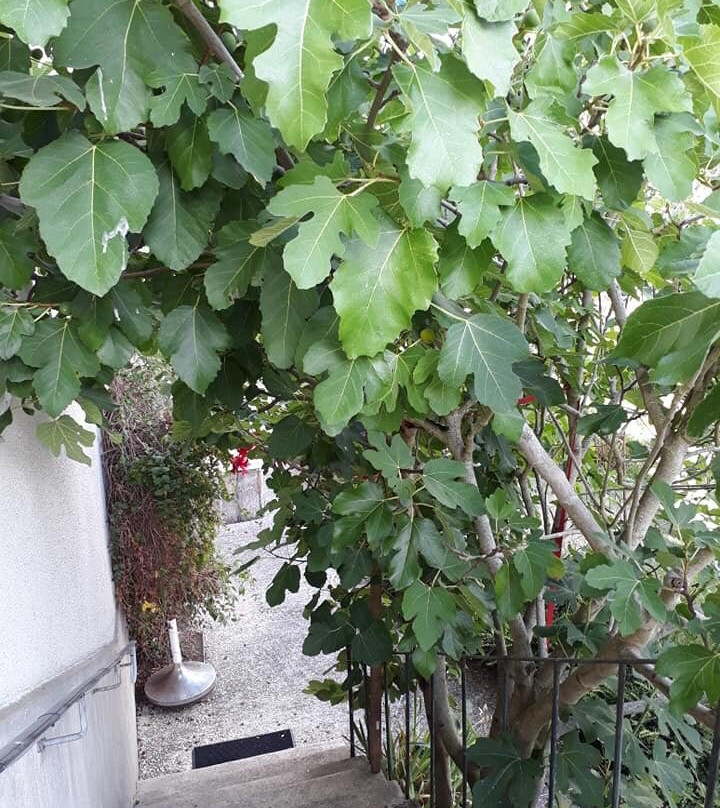 Les Champs Melisey主图