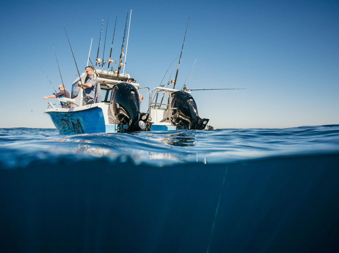 Captuna Fishing Charter & Tours-Cape Point必去景点