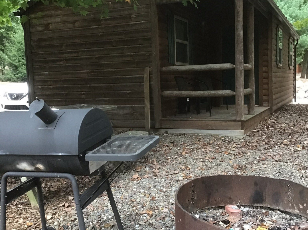 Bodnarosa Motel and Campground主图
