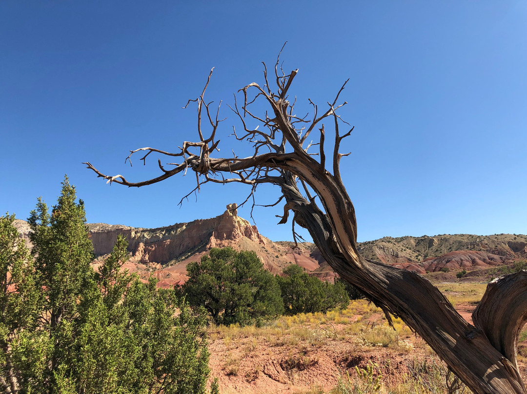 Ghost Ranch - O’Keeffe Landscape Tour景点图片