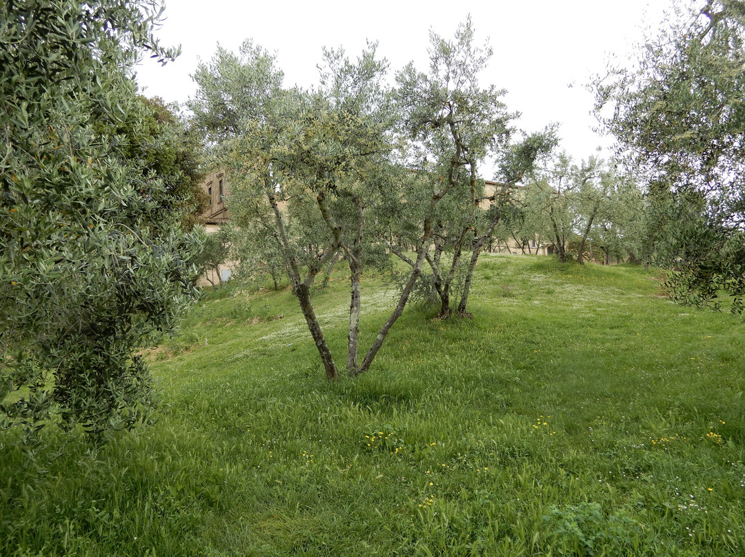 Orti dei Tolomei-锡耶纳必去景点